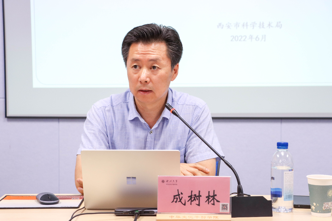 成树林.jpg